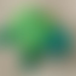 Fkieren bil-Kartun tal-Bajd 🐢