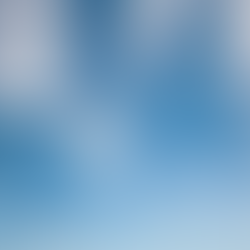 Qari tal-Quddiesa: It-Tlugħ fis-Sema tal-Verġni Mqaddsa Marija