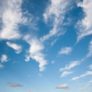 Qari tal-Quddiesa: It-Tlugħ fis-Sema tal-Verġni Mqaddsa Marija