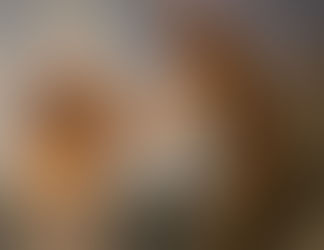 Il-Magħmudija tal-Mulej 🕊