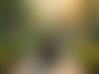 How to Practice Chakra Meditation Effectively