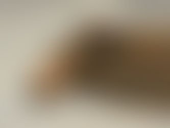 Boa de más de dos metros recuperada en vía pública por el Área Metropolitana del Valle de Aburrá en la ciudad de Medellín.