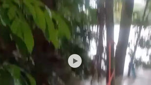 #movilidad/ nos reportan inundaciones sector puente iglesias jurisdicción de fredonia