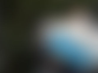 ¡16 animales silvestres fueron liberados en la Reserva Natural La Romera!