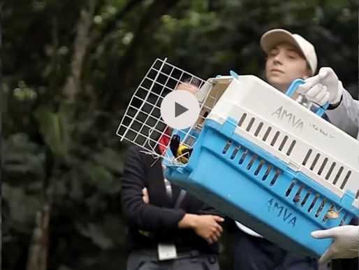 ¡16 animales silvestres fueron liberados en la Reserva Natural La Romera!
