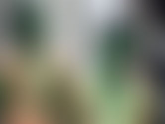 #Medellín/ Dueños de lo ajeno en el momento barrio el picacho, los dejaron como vinieron al mundo.