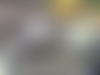 Recuperación moto Laureles