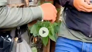 #Medellín / consolida reducción de delitos y fortalece la seguridad en los territoriosLos principales delitos continúan a la baja en Medellín, con reducciones en homicidio, hurto a personas, atraco