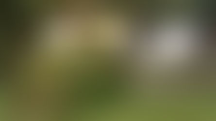 DOS ACCIDENTES DE TRÁNSITO EN #ANTIOQUÍA 😭⚠️  En menos de 24 horas se registran dos siniestros viales que vuelven a encender las alarmas sobre la seguridad en nuestras vías.   🔴 Primer caso: Vol