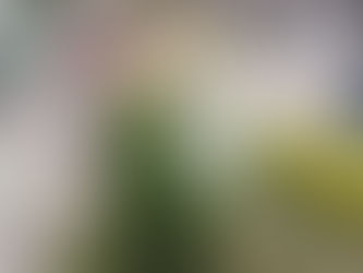 Tragedia en Manrique: Asesinan a Dos Miembros de la Comunidad LGBTIQ+ en Presunto Acto de Intolerancia