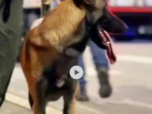 #Medellín/ Autoirdades refuerzan la seguridad en Aranjuez contra el microtráfico