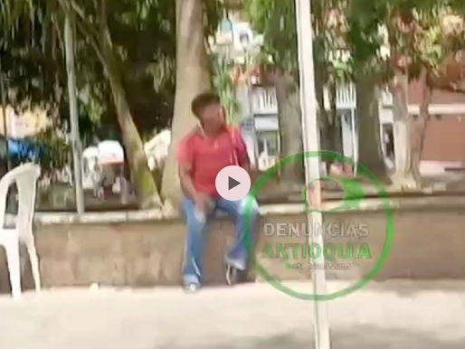 Ataque de abejas en el parque Simón bolivar.
