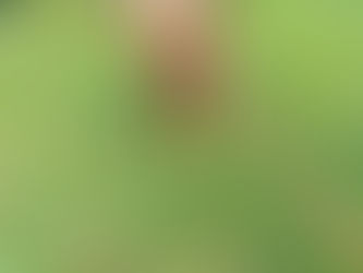 #Atencion/ en camaras de seguridad quedo como estas personas en motocicleta abandonan un perrito 🐕 Subiendo por San Vicente Ferrer ( Antioquía), Casa 19 al lado de la corporación San Miguel. Subiendo