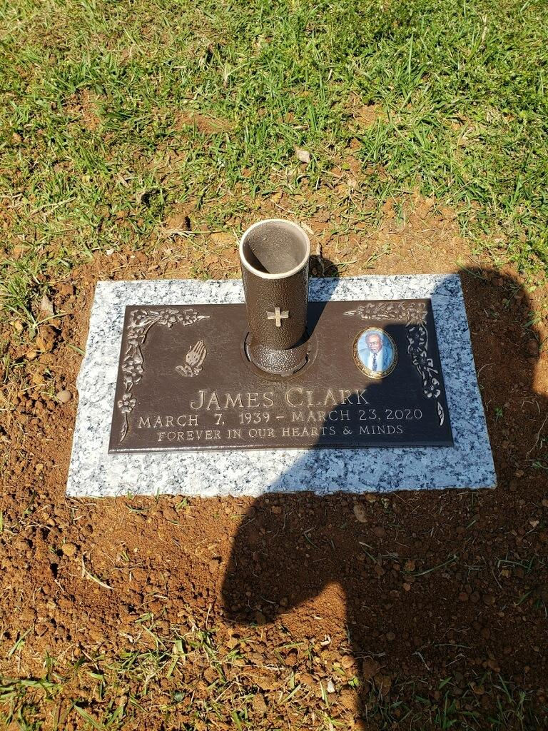 SEASON SPECIAL 20 X 10 SINGLE BRONZE , VASE / PHOTO