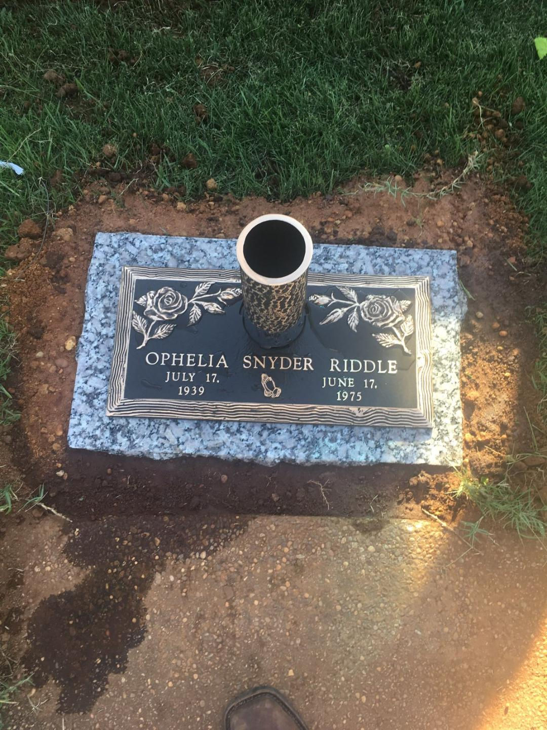 20 X 10 SINGLE BRONZE & VASE