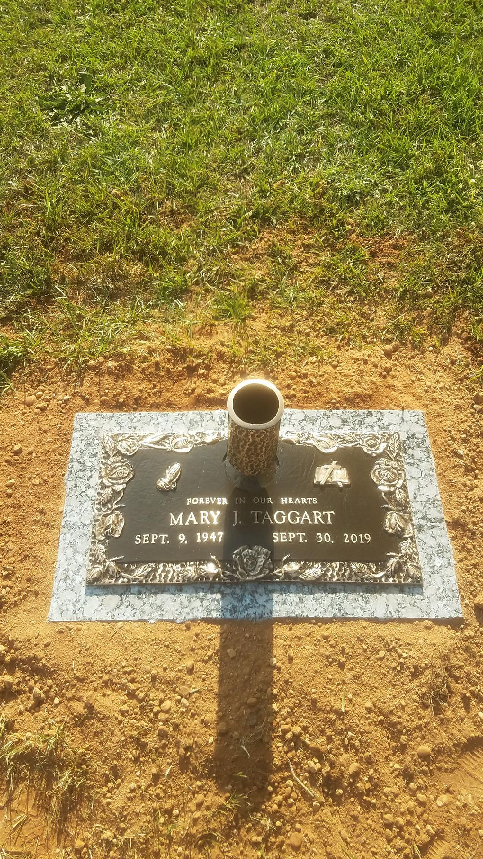  BEAUTIFUL  24X14 SINGLE BRONZE & VASE