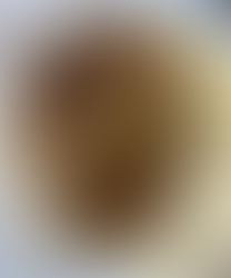 The Best Burritos in West Columbia, Texas: Nena's