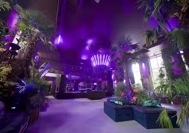 Innenansicht eines Event-Raums im Zenner mit lila Effektbeleuchtung, Palmen und Bar-Bereich.