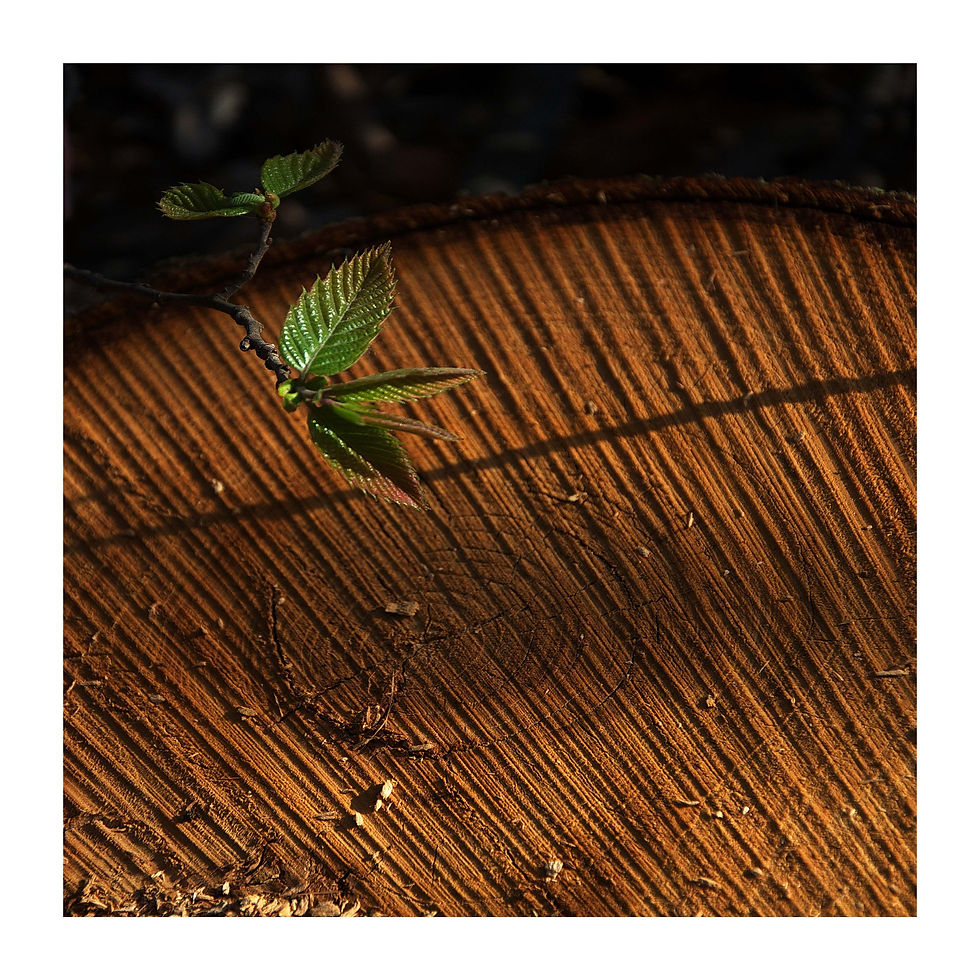 Confrontation de humanité avec la nature Page_01