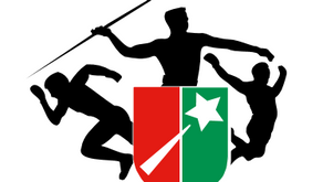 Questionnaire santé mineur