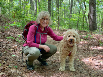 Nervous System Marketing: What If Doing Less Is Actually the Strategy?