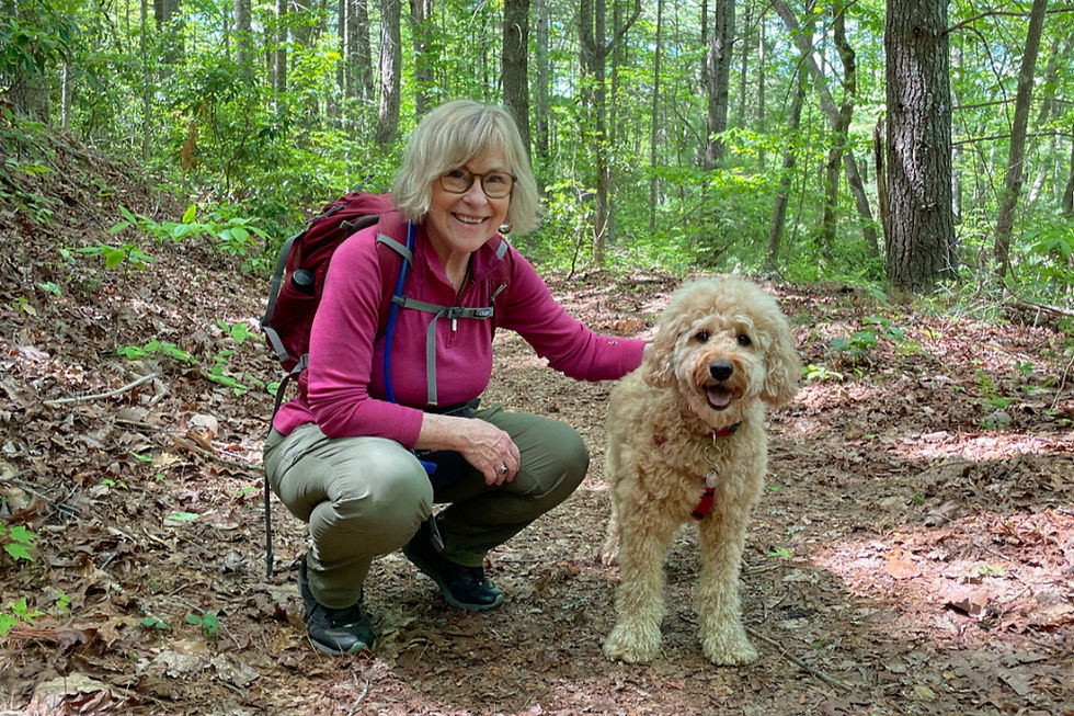 Nervous System Marketing: What If Doing Less Is Actually the Strategy?