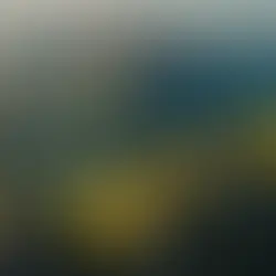 Introducing the Purposeful Journey