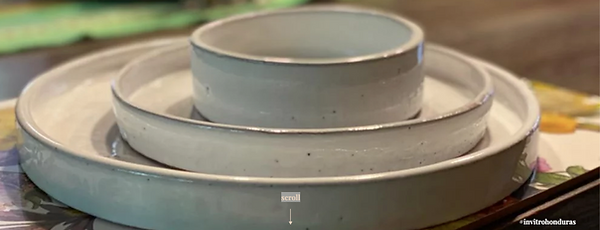 Modern Collection 1.png