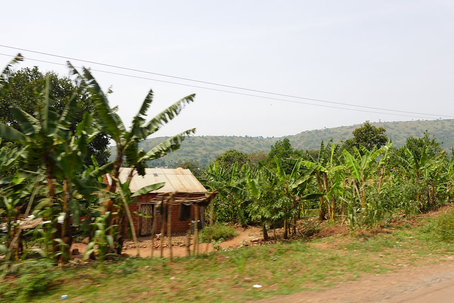 DSC00041.JPG