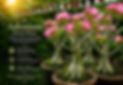 file_00000000adb8720793a080cbc44a0fec.png