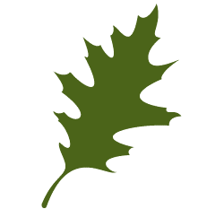red-oak-leaves.gif