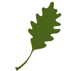 white-oak-leaves.gif