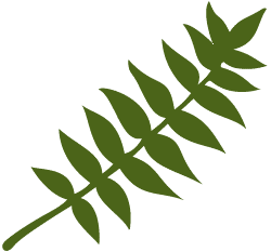 walnut-leaves.gif