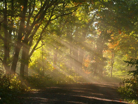 WHAT'S THE KINGDOM OF GOD LIKE?