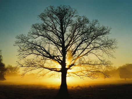 A BRIDE FOR ISAAC - GENESIS 24