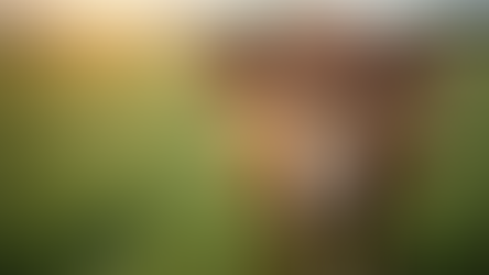 Descubra os Fundamentos da Zootecnia com um Curso de Zootecnia Online