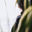 Writer: Anonymous 