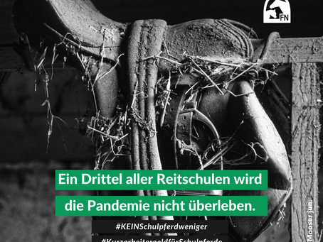 Aktion #KEINSchulpferdweniger