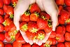 pixta_79292614_L.webp
