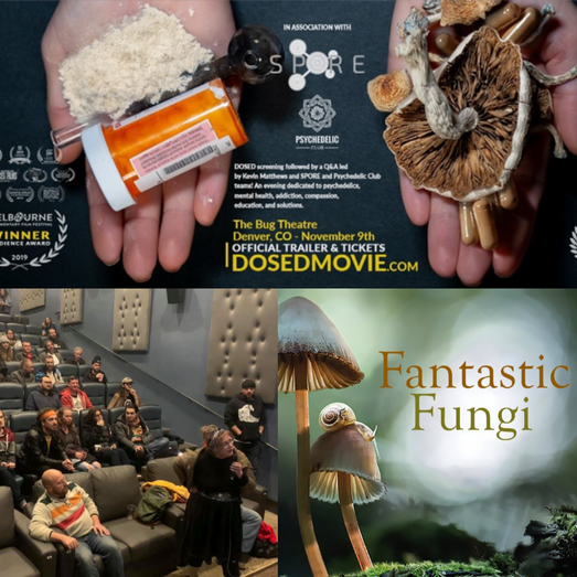 Psychedelic Screenings