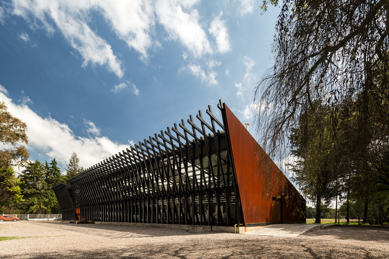 Experiencia Rodando a Destilería Abasolo