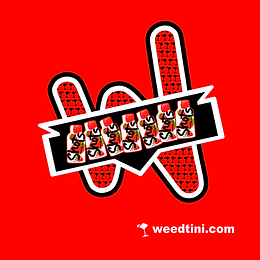 Screenshot 2024-12-29 at 1.21.39 AM.png