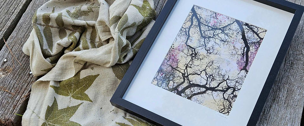 Bannière News Patchacha.jpg