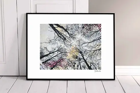 Tableau technique mixte sur papier, présentant une clairière vue de dessous.
