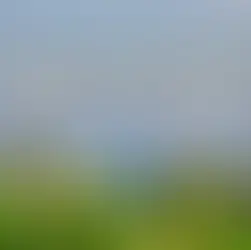 รู้จักโซล่าเซลล์เพื่อการเกษตรคืออะไร ทำไมเกษตรกรยุคใหม่ถึงควรใช้