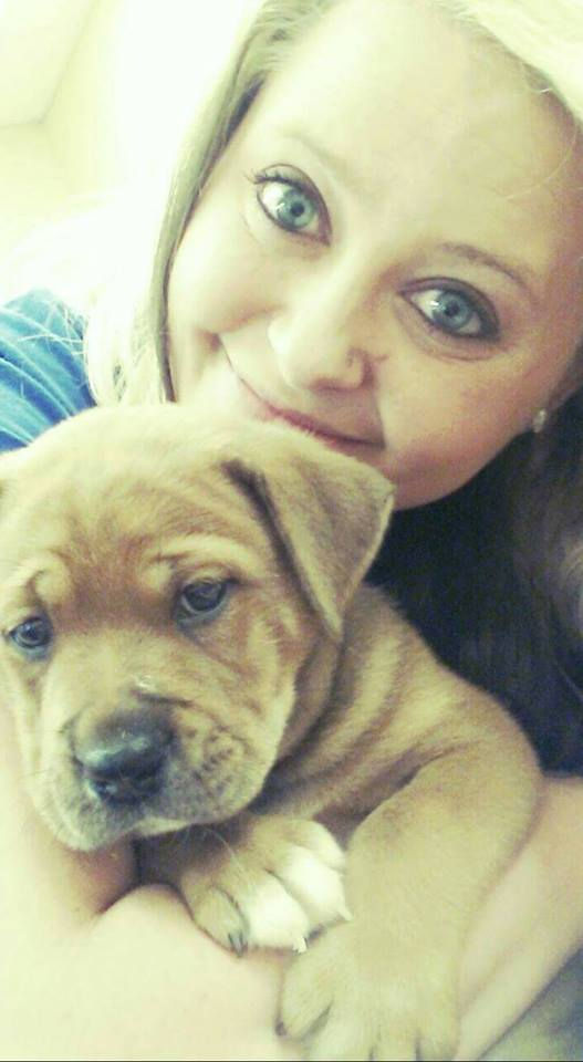 12650806_516342261871404_2581080674649773328_n