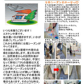 【 エヌケン通心52号 】