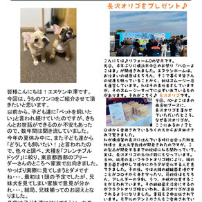 🎅エヌケン通心44号🎄✨