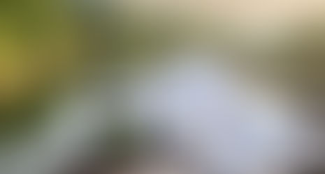 Potamoloji Nedir? İnceleme ve Uygulama Alanları Nelerdir?