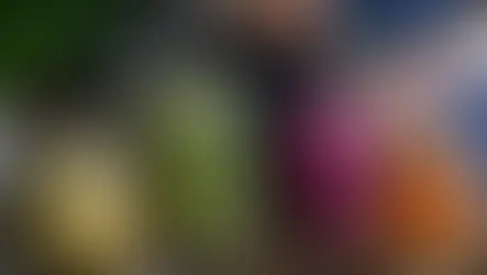 Fermente Ne Demek? Gıdalarda Fermantasyon Rehberi